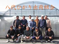 八代ひかり出荷組合