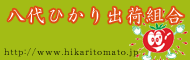 八代ひかり出荷組合